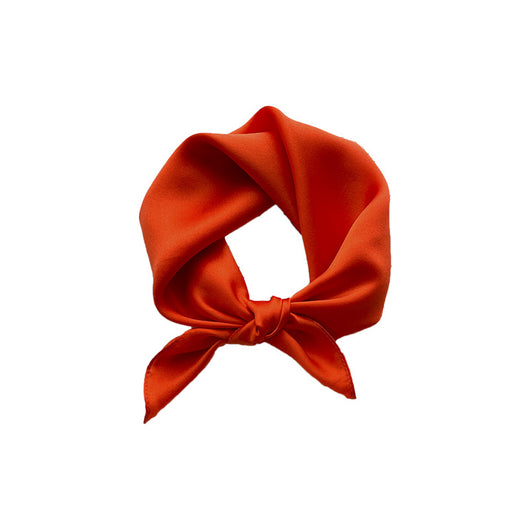 Pañuelo de Seda Pura 53cm - Elegancia y Versatilidad - Image 2