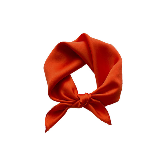 Pañuelo de Seda Pura 53cm - Elegancia y Versatilidad