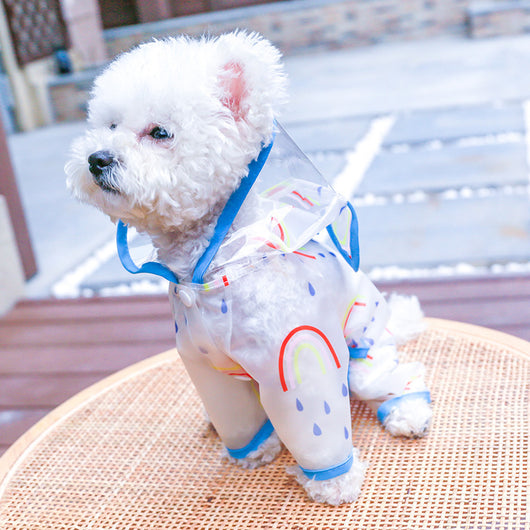 Impermeable Transparente Arcoíris para Perros - Image 15