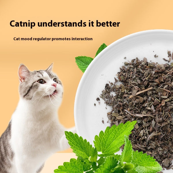 Polvo de Hierba Gatera Premium para Gatos