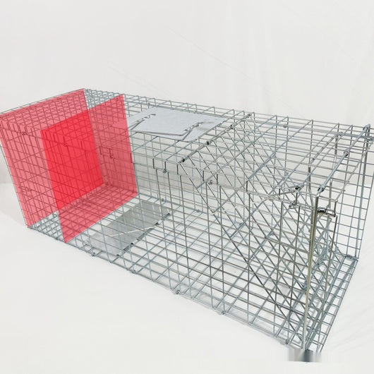Jaula Trampa Automática Plegable para Gatos - Galvanizada y Segura - Image 8