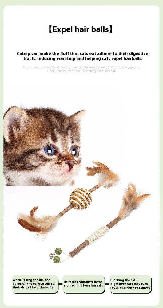 Feather and sisal cat toy with a wooden stick, green sisal ball, and brown feathers for molar cleaning. - Image 15