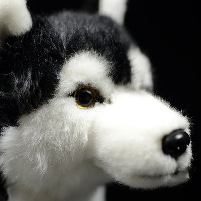 Peluche Husky Realista con Ojos de Pato Mandarín - Image 9