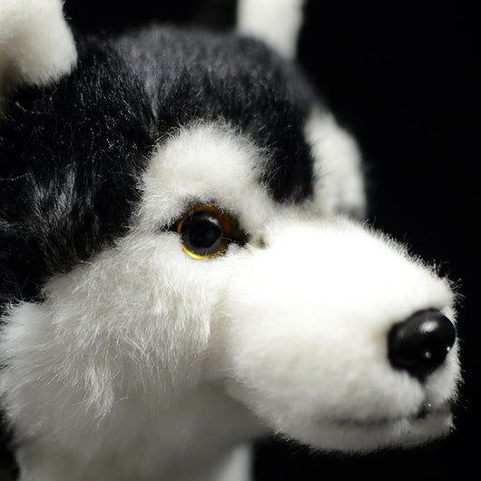 Peluche Husky Realista con Ojos de Pato Mandarín - Image 9