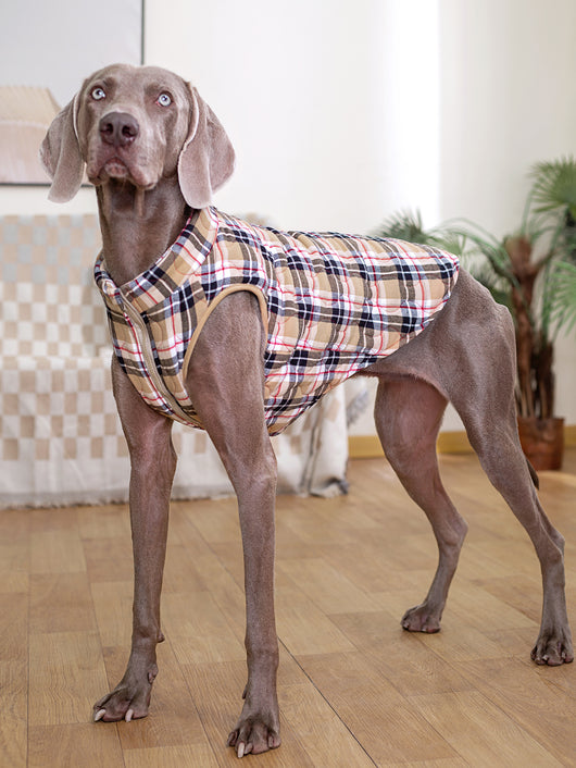 Abrigo Térmico para Perros con Cierre de Cremallera - Chaqueta Acolchada Cuadriculada - Image 13
