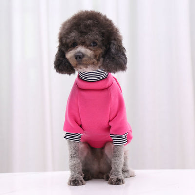 Suéter Reflectante para Paseos Nocturnos - Ropa para Perros y Gatos - Image 38