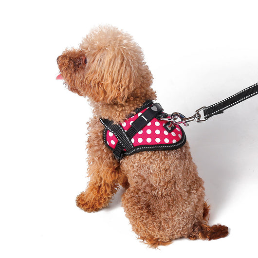 Arnés Reflectante para Perro con Cuerda de Tracción y Banda de Seguridad - Image 6