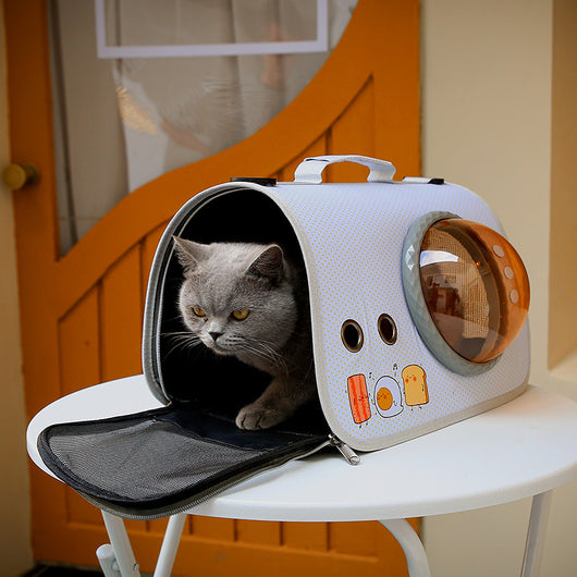 Bolsa Transportadora Transparente para Gatos - Portátil y Segura