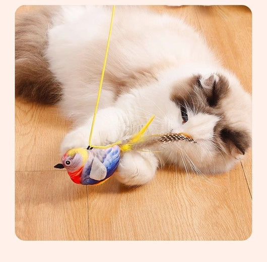 Juguete Interactivo para Gatos con Pájaro Cantante y Movimiento - Image 17