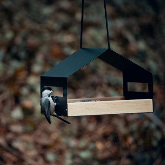 Comedero Colgante para Pájaros - Decoración de Jardín Exterior
