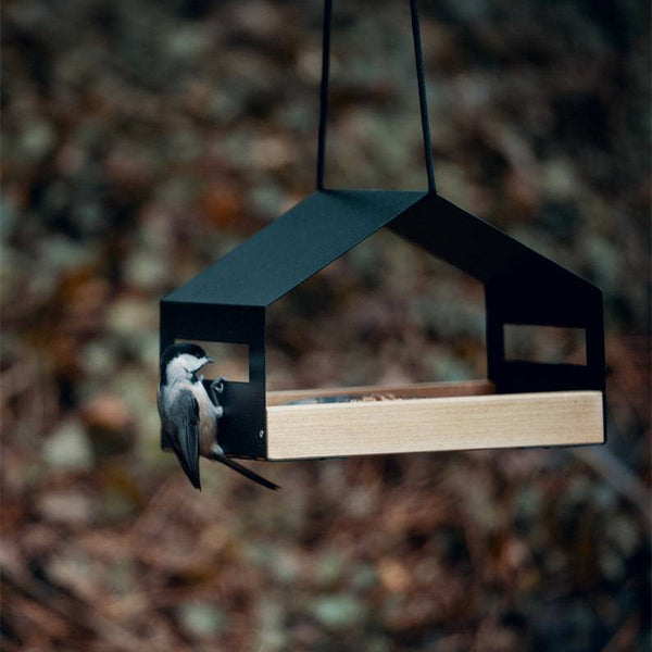 Comedero Colgante para Pájaros - Decoración de Jardín Exterior