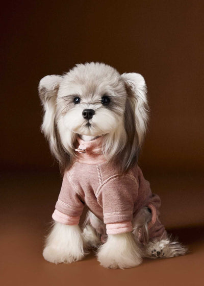 Ropa para Perros Teddy Schnauzer Bichon Bicolor Cómoda - Image 44