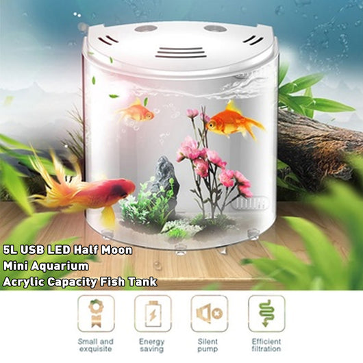 Acuario Ecológico de Acrílico Transparente - Image 9