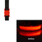Collar Luminoso LED Transparente para Perros - Protección Nocturna Antiextravío
