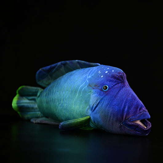 Peluche Pez Luna Realista con Labios Ondulados - Image 15