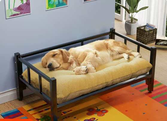 Cama Desmontable para Perro de Todas las Estaciones - Lavable y Versátil