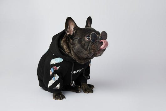 Ropa de Moda para Schnauzers - Colecciones Exclusivas - Image 19