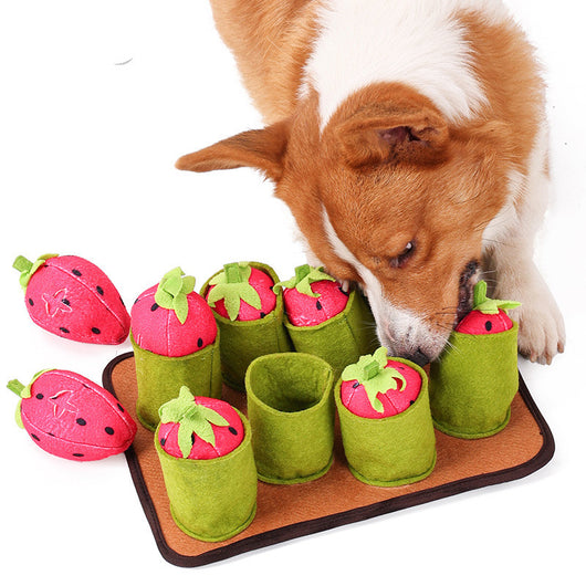 Fresas Frescas Premium - Potencia tu Memoria y Bienestar - Image 12