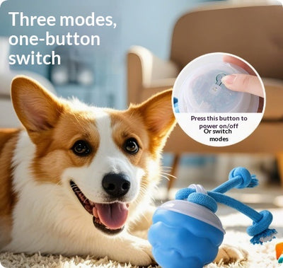 Juguete Interactivo Inteligente para Perros con Pelota Recargable - Image 14