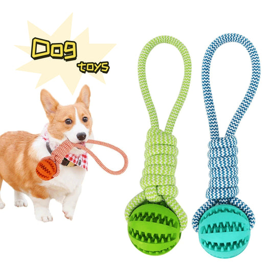Blue and white braided rope dog toy with a teal rubber treat-dispensing ball for chewing and teeth cleaning.