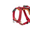 Vermelho P
