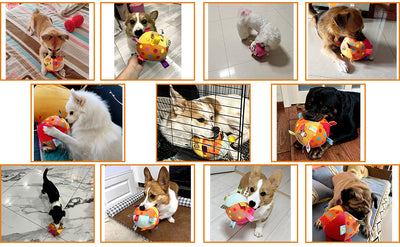 Juguetes Interactivos para Perros con Sonidos y Pelotas Chirriantes - Image 16