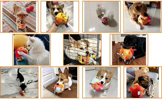 Juguetes Interactivos para Perros con Sonidos y Pelotas Chirriantes - Image 16