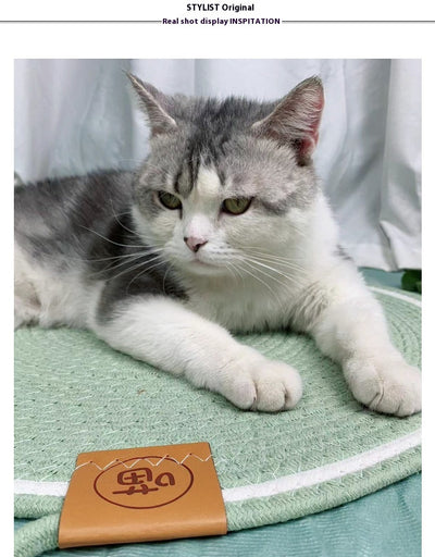 Nido de Ratán para Gatos Resistente sin Pelusa - Image 16