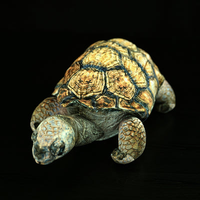 Peluche Realista de Tortuga Galápagos - Juguete Educativo y Adorable - Image 12