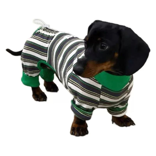 Chaleco Térmico para Mascotas - Abrigo Cálido Otoño e Invierno - Image 5