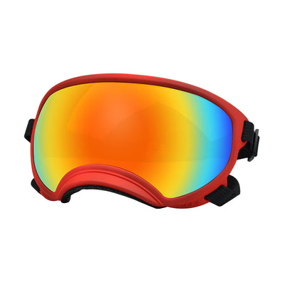 Gafas Protectoras para Perros en la Nieve - Image 7