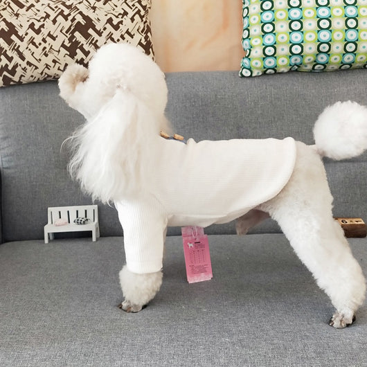 Suéter Casual de Dos Patas para Perros - Image 3