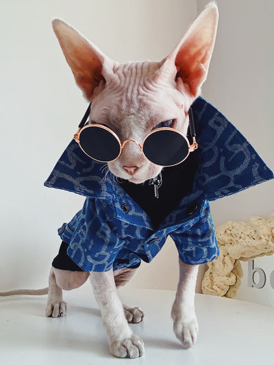 Chamarra de Mezclilla para Gatos sin Pelo Devon Rex - Estilo Trendy - Image 6