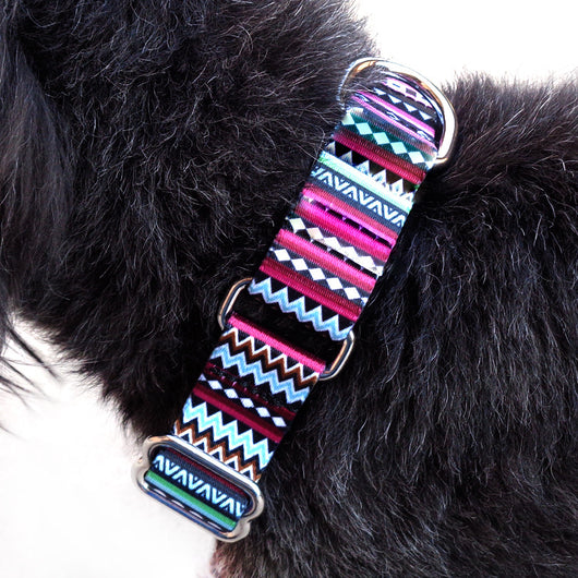 Collar Acolchado para Perros Pomi - Collar Cómodo para Paseos - Image 8