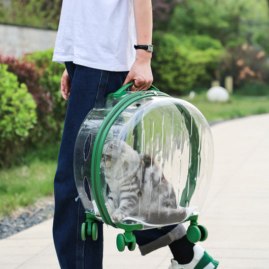 Bolsa Transportadora Transparente para Gatos - Image 3