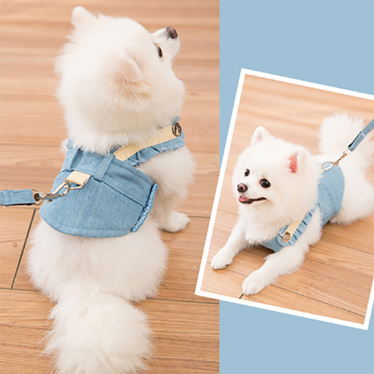 Conjunto de Arnés y Correa Adorable para Perro - Image 11