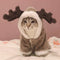 Ropa de Abrigo para Mascotas - Diseños Navideños y Otoño Invierno
