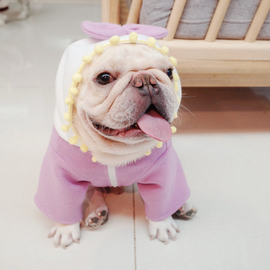 Suéter Polar Morado con Lazo para Perros Gorditos - Otoño e Invierno