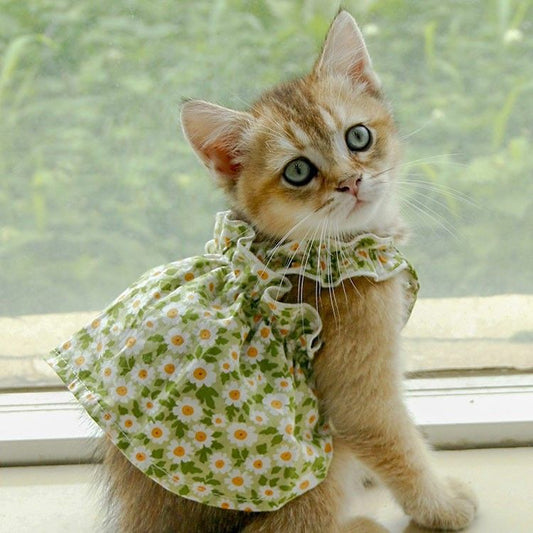 Vestido con Tirantes para Mascotas - Colección Primavera Verano