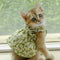 Vestido de Alcinha para Pets - Coleção Primavera Verão