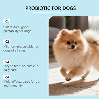 Probióticos en Gránulos Blandos para la Salud Digestiva de tu Perro - Image 4