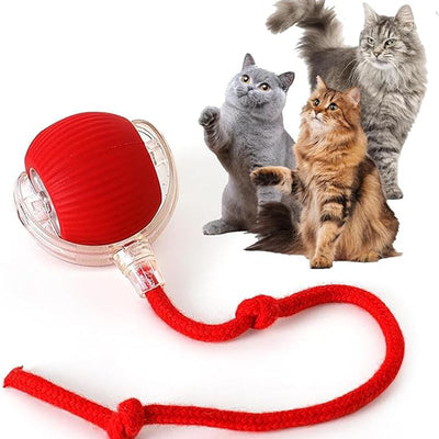 Blue and clear interactive cat ball toy with a rope, shown with three playful cats in the background. - Image 12