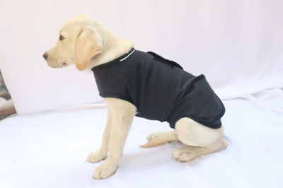 Chaleco Calmante para Perros - Prenda de Compresión contra la Ansiedad - Image 12