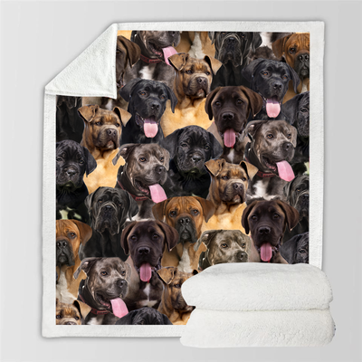 Manta Flanela Estampada para Perros de Moda - Image 67