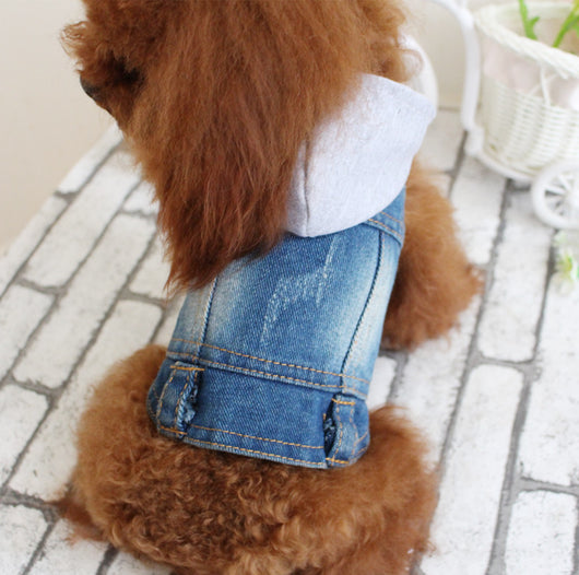 Sudadera Capucha Vaquera Summer Bichon - Image 10