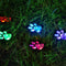 Multicolor 1 Pieza