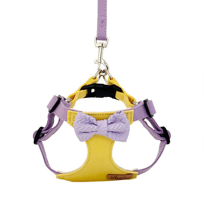 Chaleco Arnés de Cuerda para Perros Pequeños - Image 13
