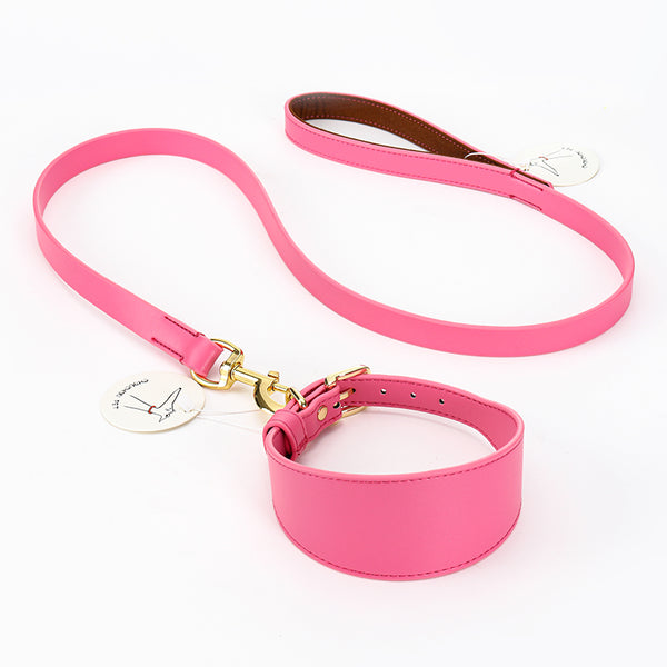 Set de Correas Suaves para Pasear Mascotas - Control Seguro y Cómodo