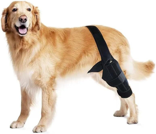 Black pet leg brace for dog injury assistance and rehabilitation, featuring adjustable straps and a supportive design. - Image 9