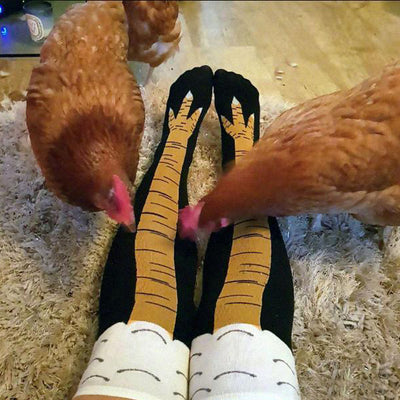 Calcetines Divertidos de Gallina para Primavera y Otoño - Image 16